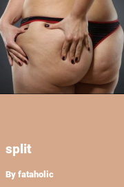 Book cover for Split, a weight gain story by Fataholic